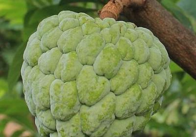 休息可以句子(实用46句)