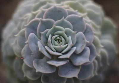 优美结束的句子(共15句)