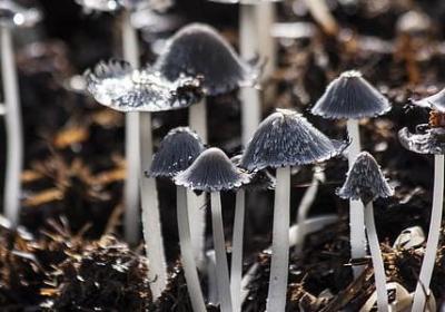 伞的爱情句子(必备58句)