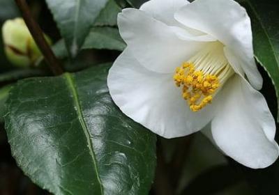 伤心伤感的句子(共50句)