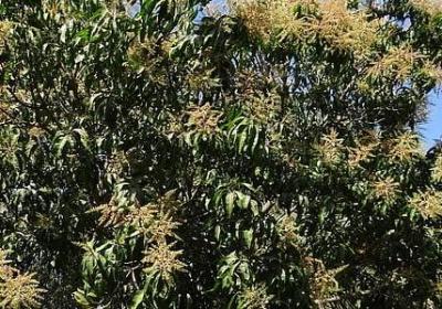 伤心又励志的句子(汇总70句)