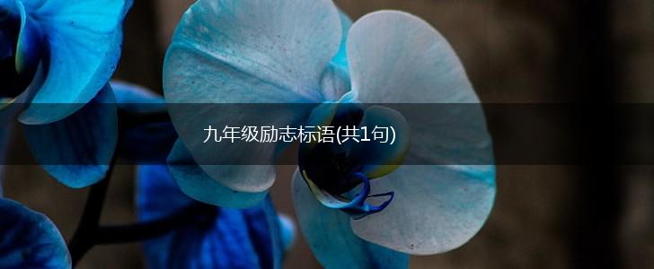 九年级励志标语(共1句),第1张