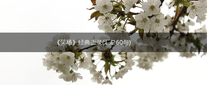 《笑场》经典语录(汇总60句),第1张
