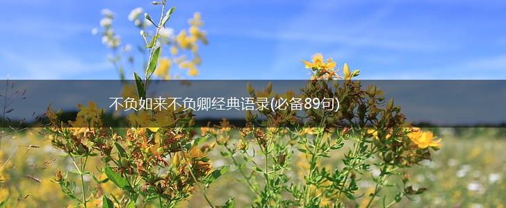 不负如来不负卿经典语录(必备89句),第1张