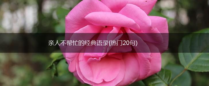 亲人不帮忙的经典语录(热门20句),第1张