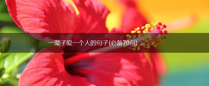 一辈子爱一个人的句子(必备70句),第1张