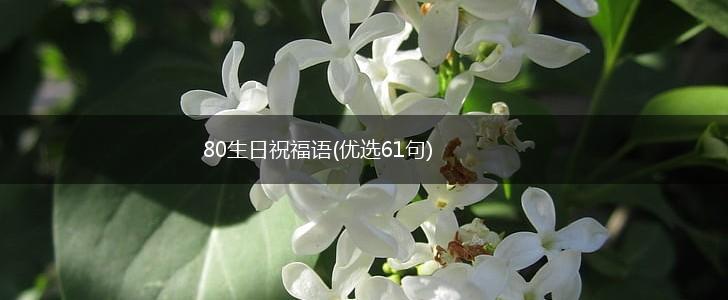 80生日祝福语(优选61句),第1张