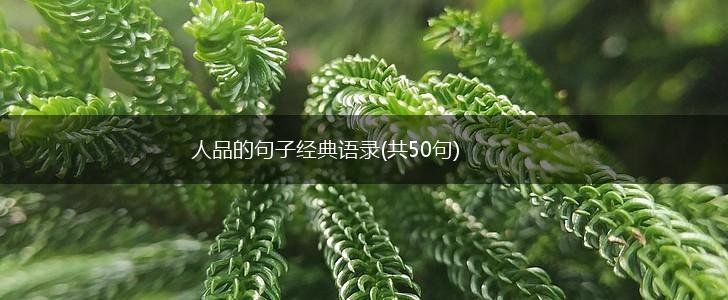 人品的句子经典语录(共50句),第1张