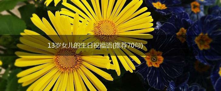 13岁女儿的生日祝福语(推荐70句),第1张