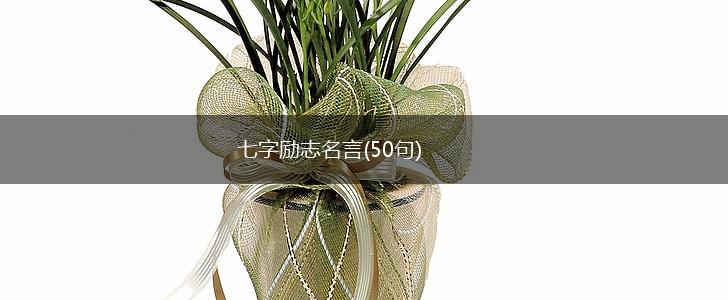七字励志名言(50句),第1张