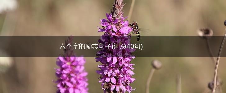六个字的励志句子(汇总40句),第1张