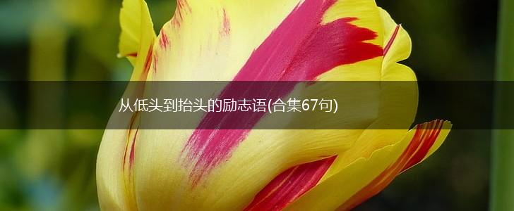 从低头到抬头的励志语(合集67句),第1张