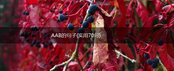 AAB的句子(实用70句),第1张