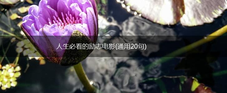 人生必看的励志电影(通用20句),第1张