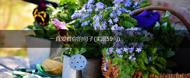 一直爱着你的句子(实用59句),第1张