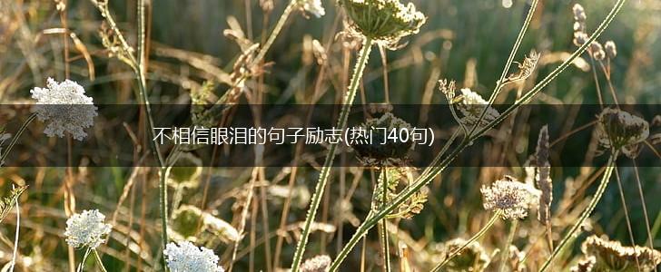 不相信眼泪的句子励志(热门40句),第1张