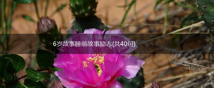 6岁故事睡前故事励志(共40句),第1张