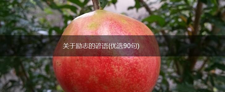 关于励志的谚语(优选90句),第1张