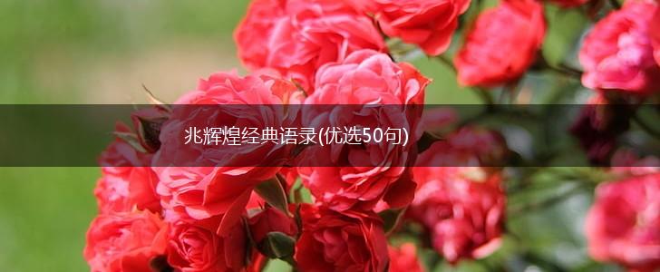 兆辉煌经典语录(优选50句),第1张