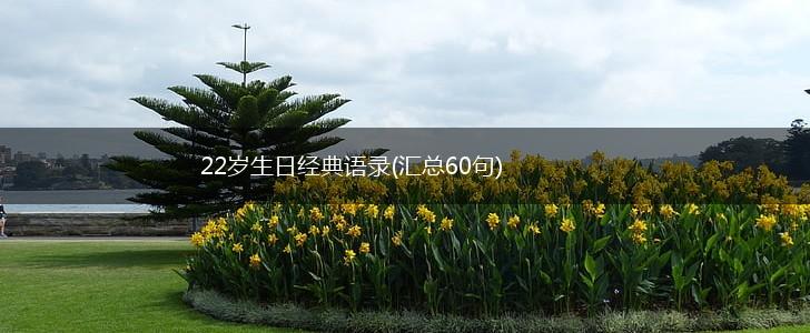 22岁生日经典语录(汇总60句),第1张