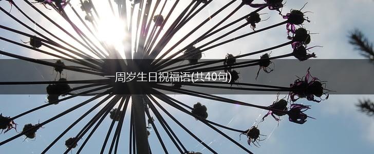 一周岁生日祝福语(共40句),第1张