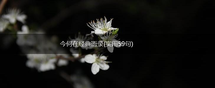今何在经典语录(实用59句),第1张