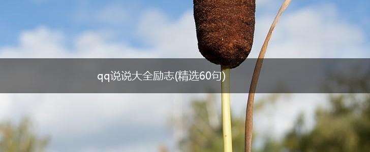 qq说说大全励志(精选60句),第1张