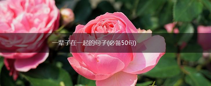 一辈子在一起的句子(必备50句),第1张