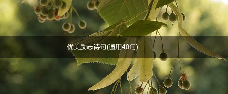 优美励志诗句(通用40句),第1张