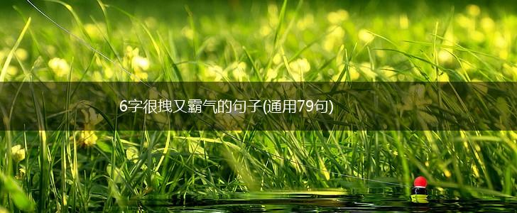 6字很拽又霸气的句子(通用79句),第1张