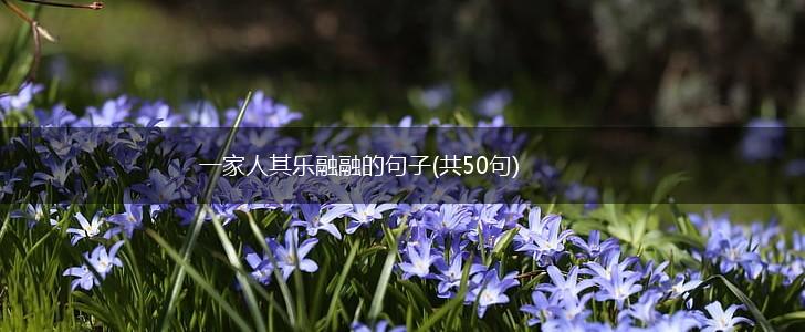 一家人其乐融融的句子(共50句),第1张
