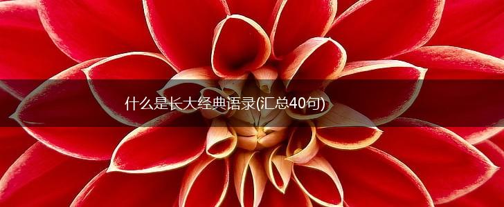 什么是长大经典语录(汇总40句),第1张
