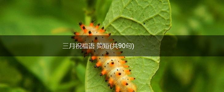三月祝福语 简短(共90句),第1张