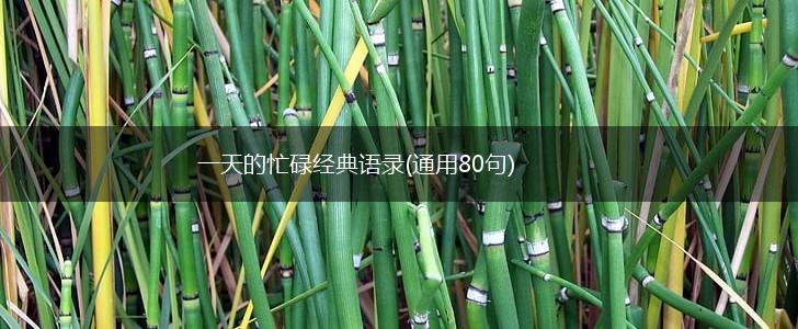一天的忙碌经典语录(通用80句),第1张