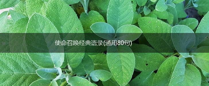 使命召唤经典语录(通用80句),第1张