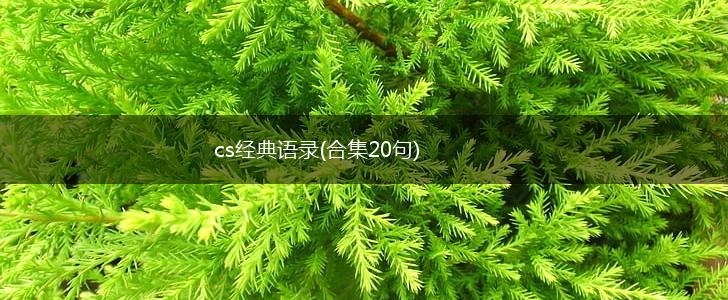cs经典语录(合集20句),第1张