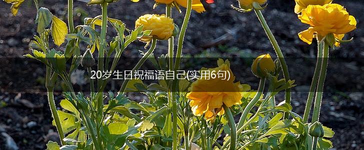 20岁生日祝福语自己(实用6句),第1张