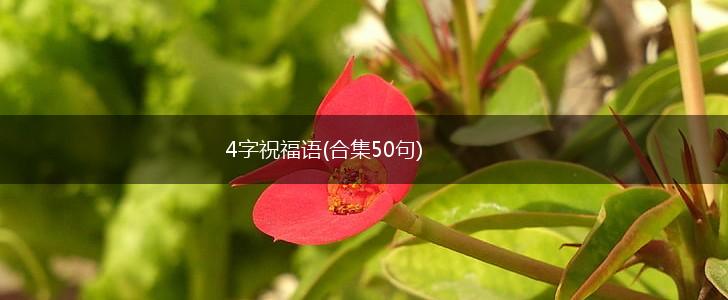 4字祝福语(合集50句),第1张