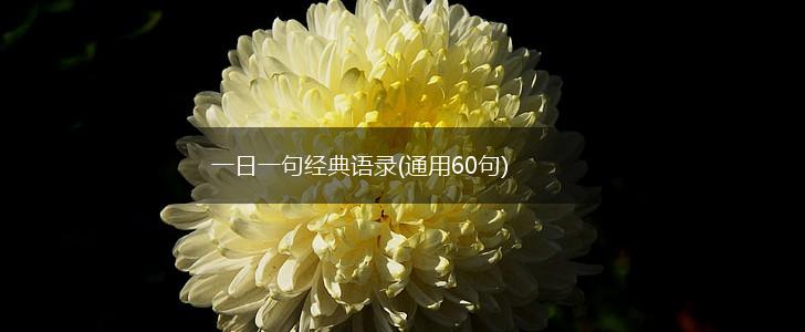 一日一句经典语录(通用60句),第1张