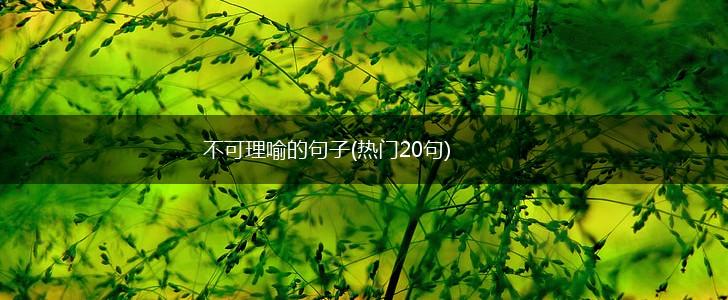不可理喻的句子(热门20句),第1张