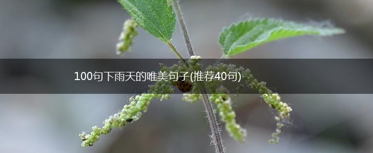 100句下雨天的唯美句子(推荐40句),第1张