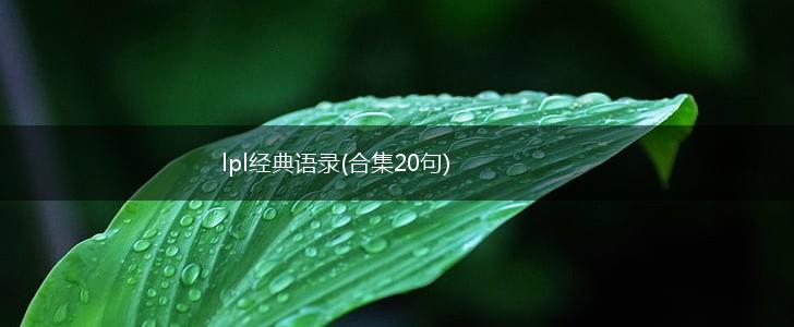 lpl经典语录(合集20句),第1张
