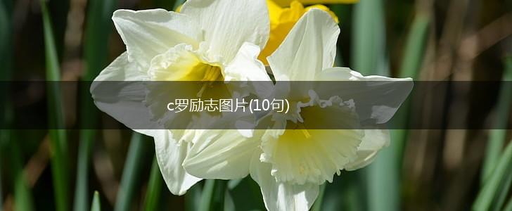 c罗励志图片(10句),第1张