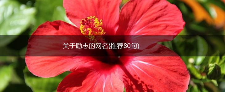 关于励志的网名(推荐80句),第1张
