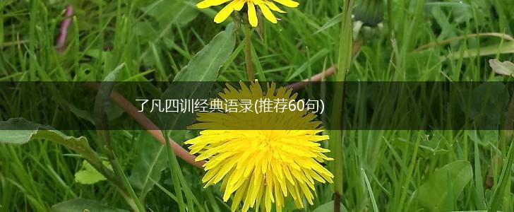 了凡四训经典语录(推荐60句),第1张