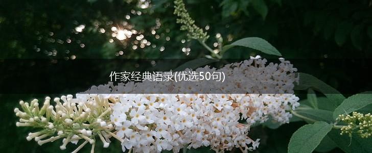 作家经典语录(优选50句),第1张