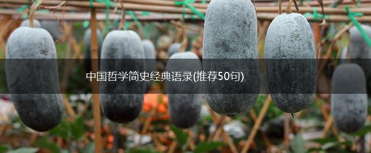 中国哲学简史经典语录(推荐50句),第1张