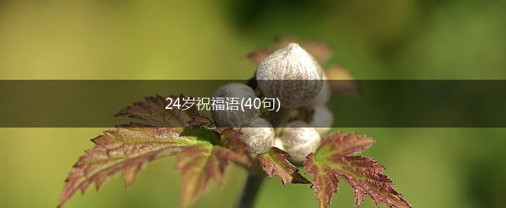 24岁祝福语(40句),第1张