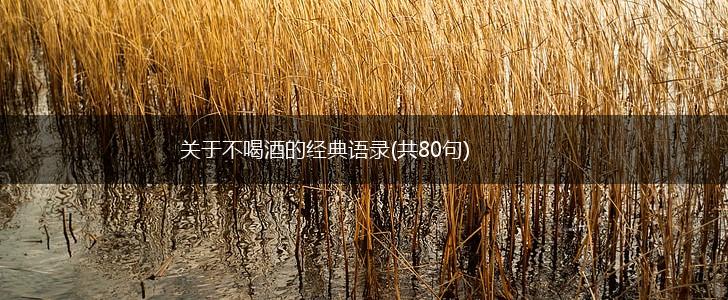关于不喝酒的经典语录(共80句),第1张