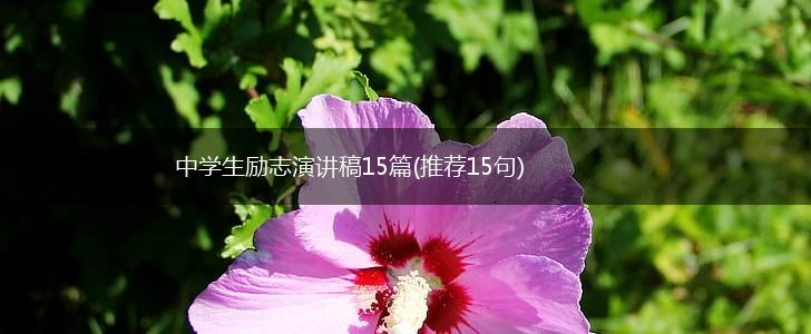 中学生励志演讲稿15篇(推荐15句),第1张